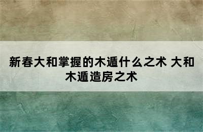 新春大和掌握的木遁什么之术 大和木遁造房之术